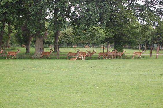 DSC_0102 [50%] [50%].JPG